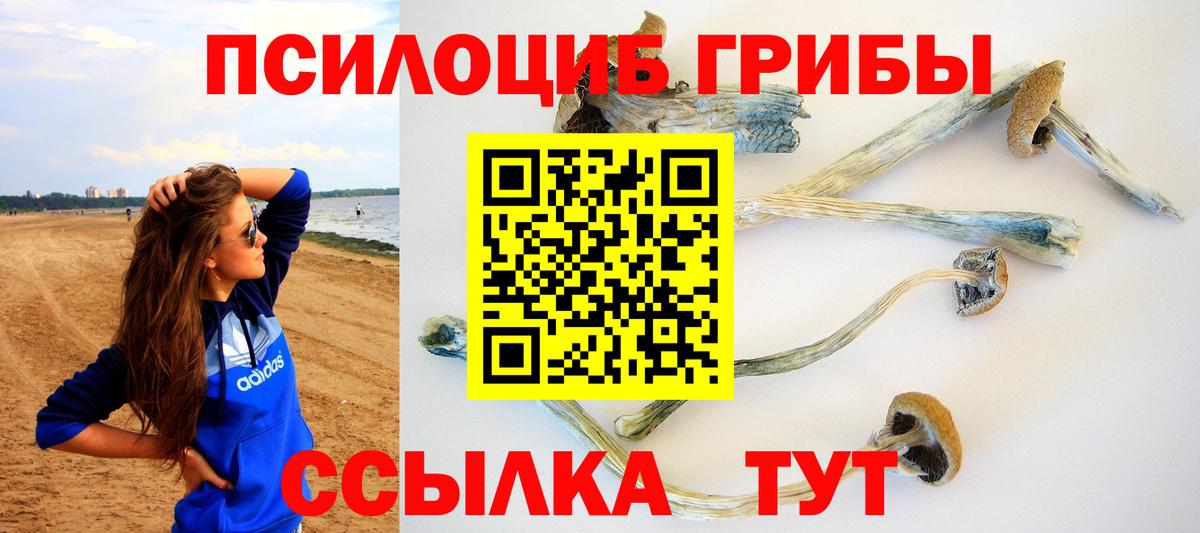 Сафоново  Галлюциногенные грибы Psilocybe  купить   Вход с VPN 